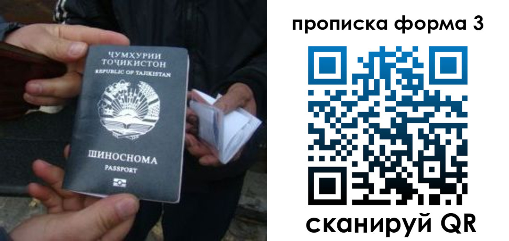 прописка 2025 в Елизово