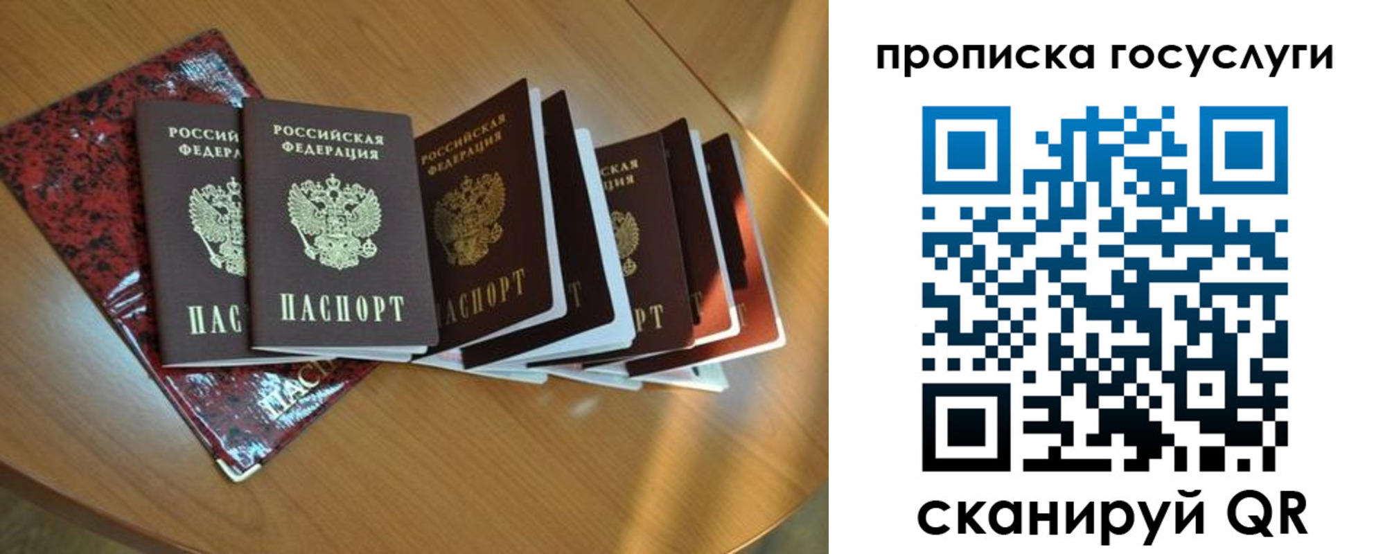 временная регистрация в квартире в Елизово